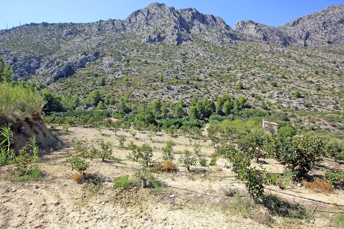 Land, For Sale