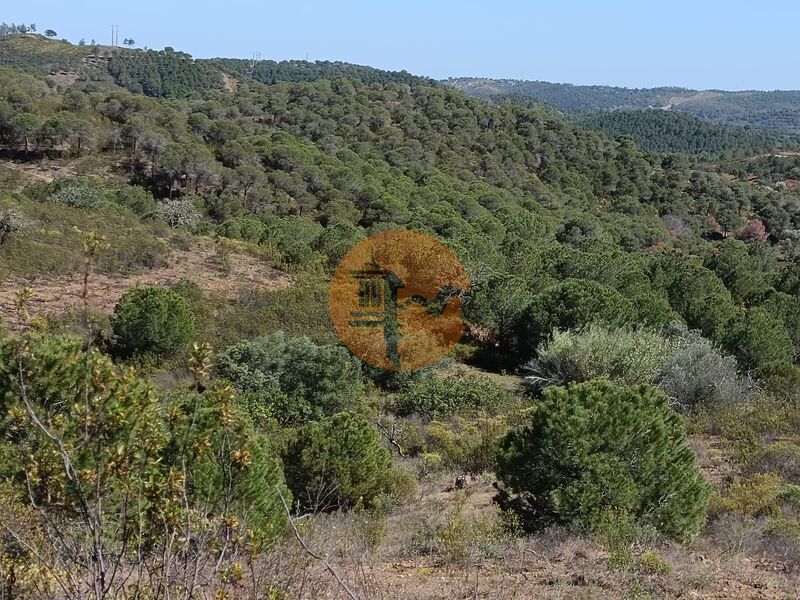 Land, For Sale