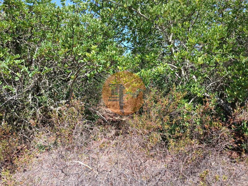 Land, For Sale
