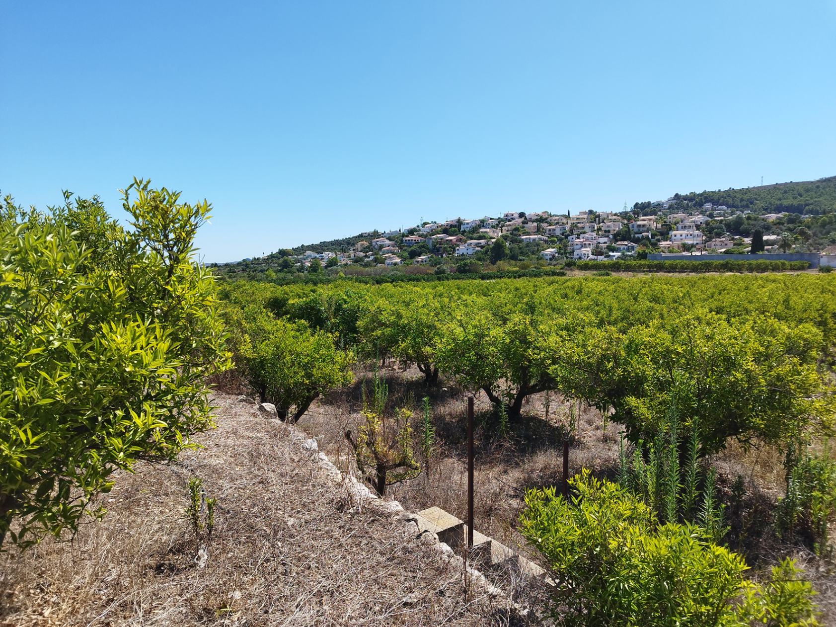 Land, For Sale