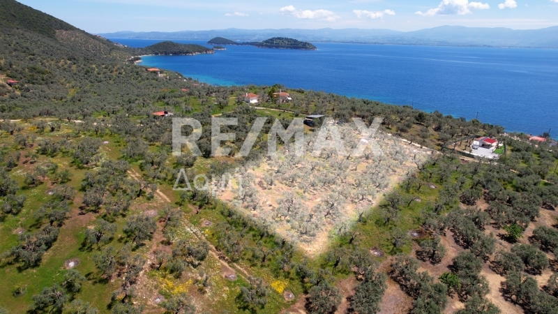 Commercial Property, For Sale