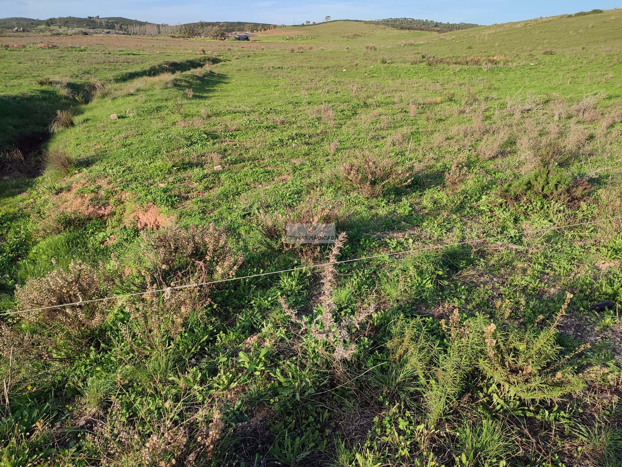 Land, For Sale