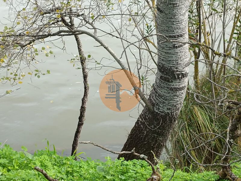 Land, For Sale