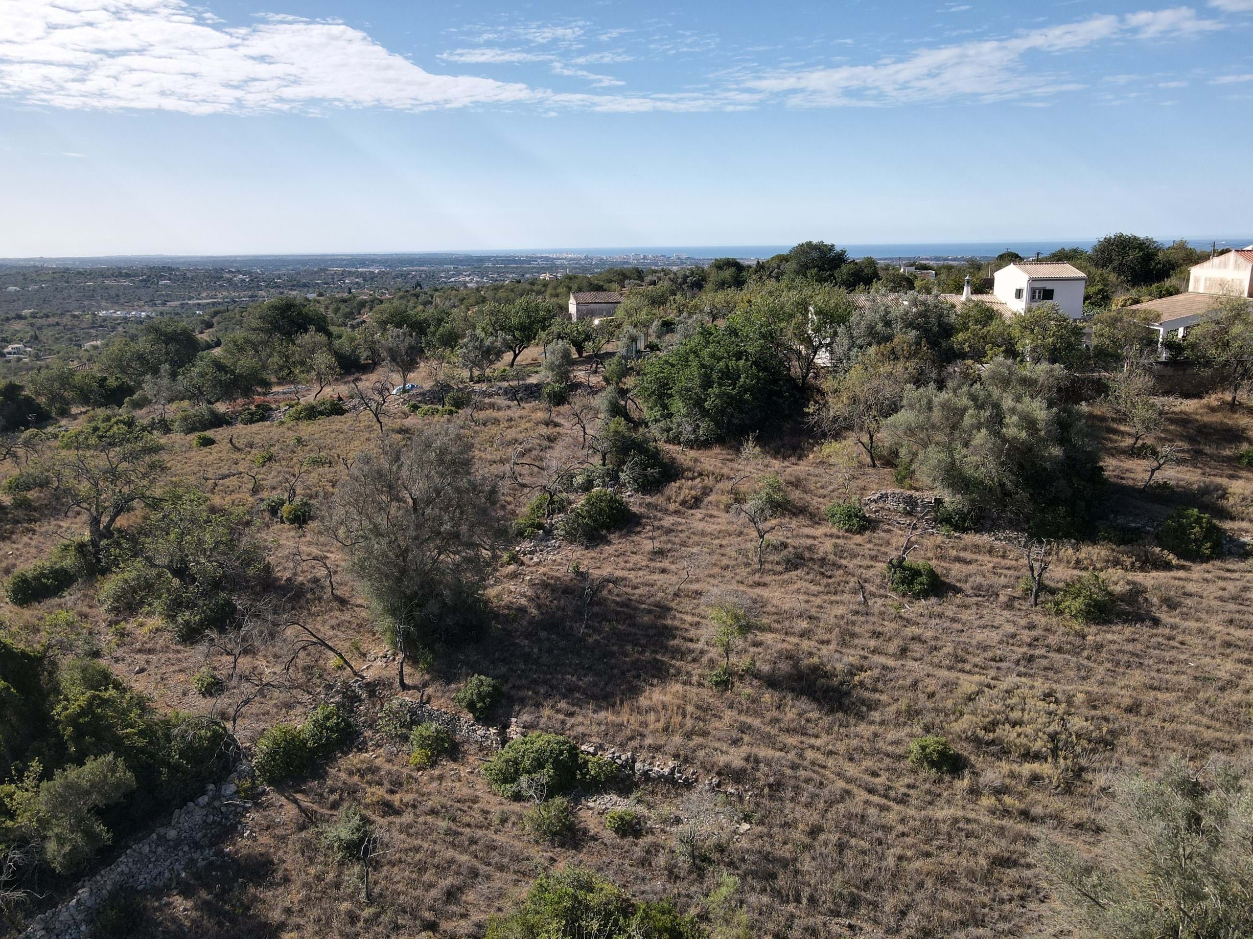 Land, For Sale