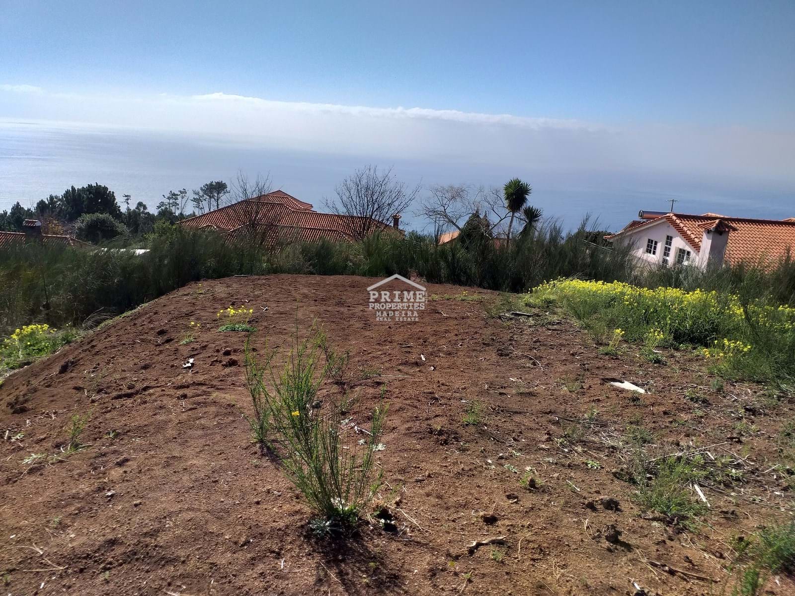 Land, For Sale