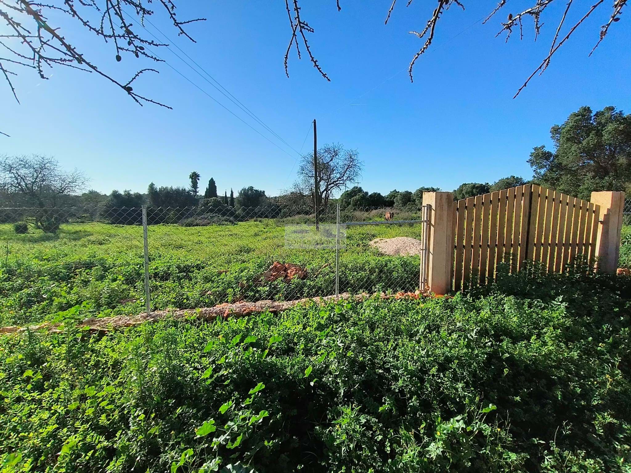 Land, For Sale