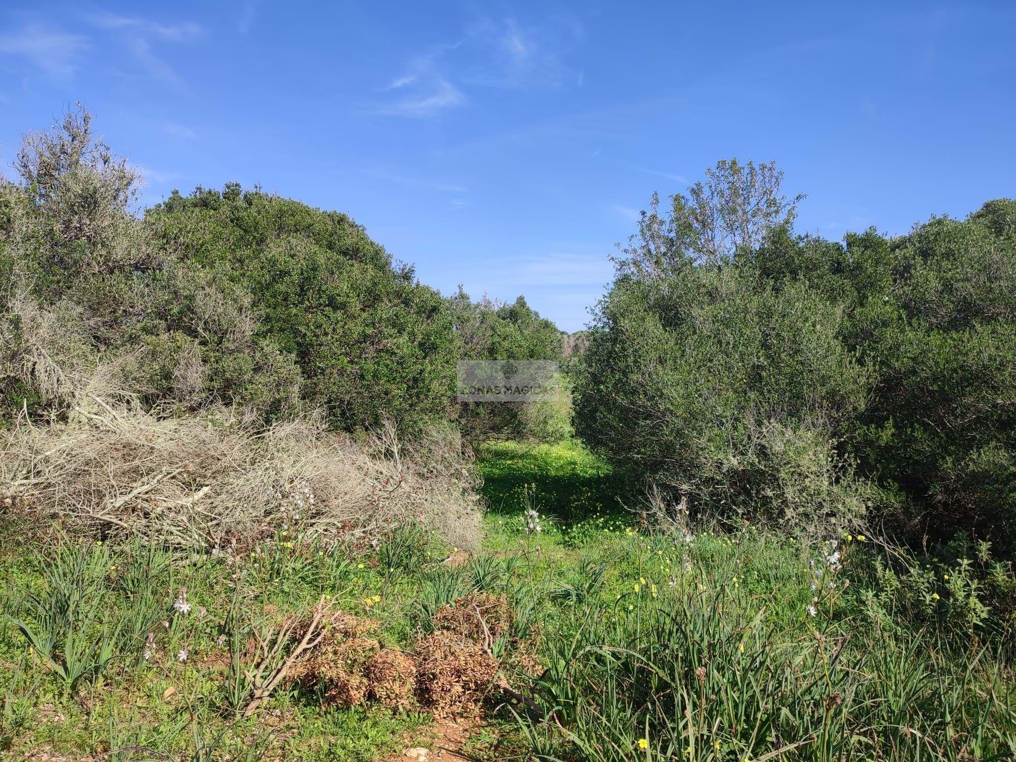 Land, For Sale