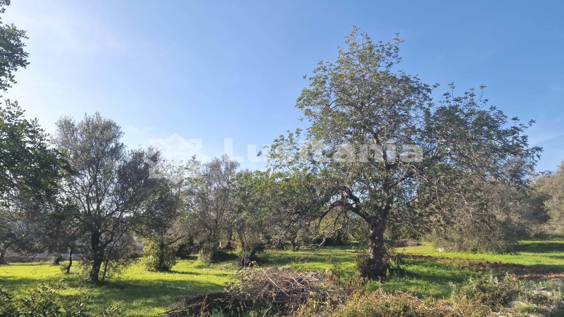 Land, For Sale
