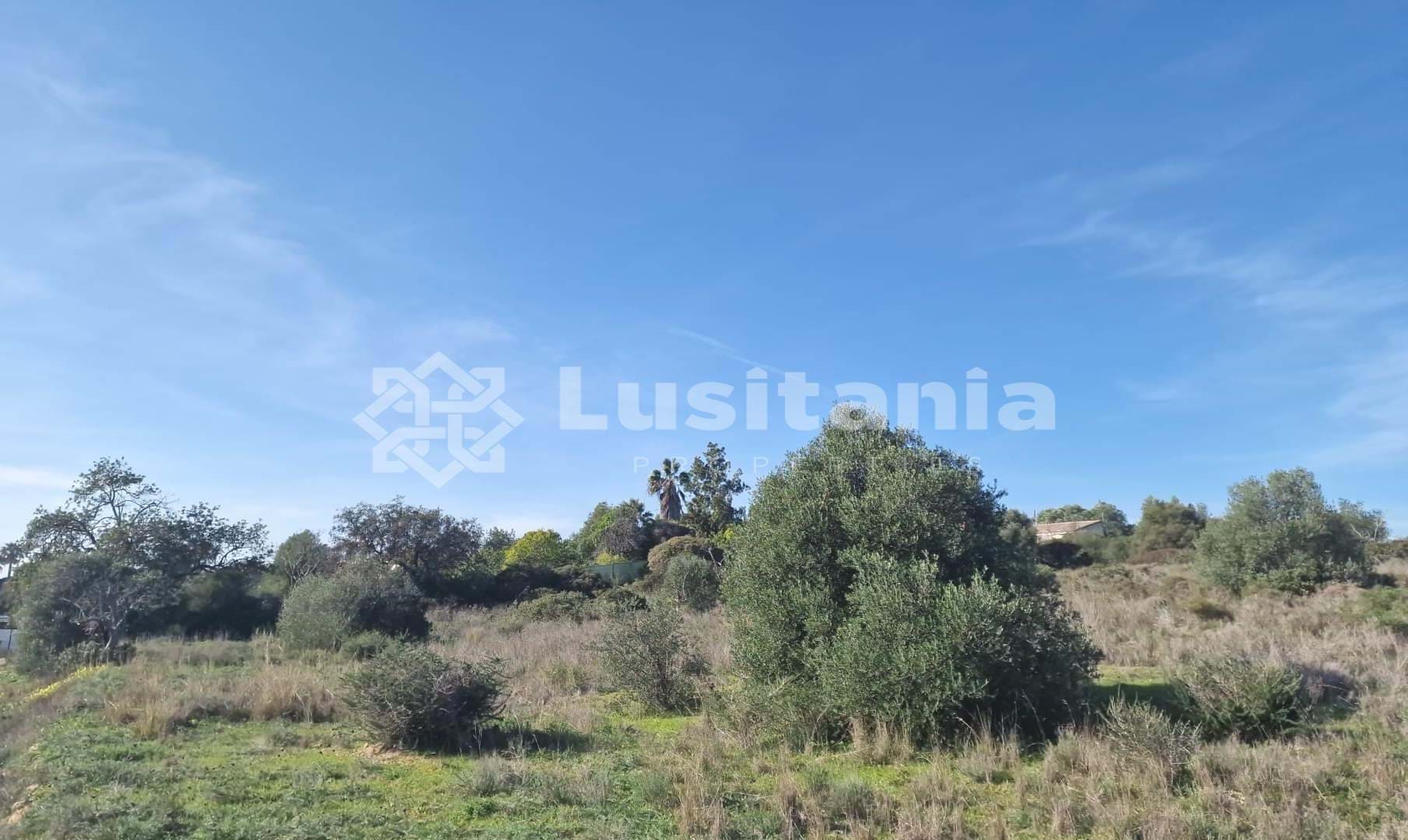 Land, For Sale