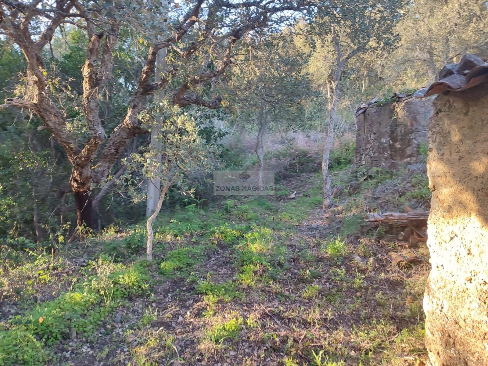 Land, For Sale