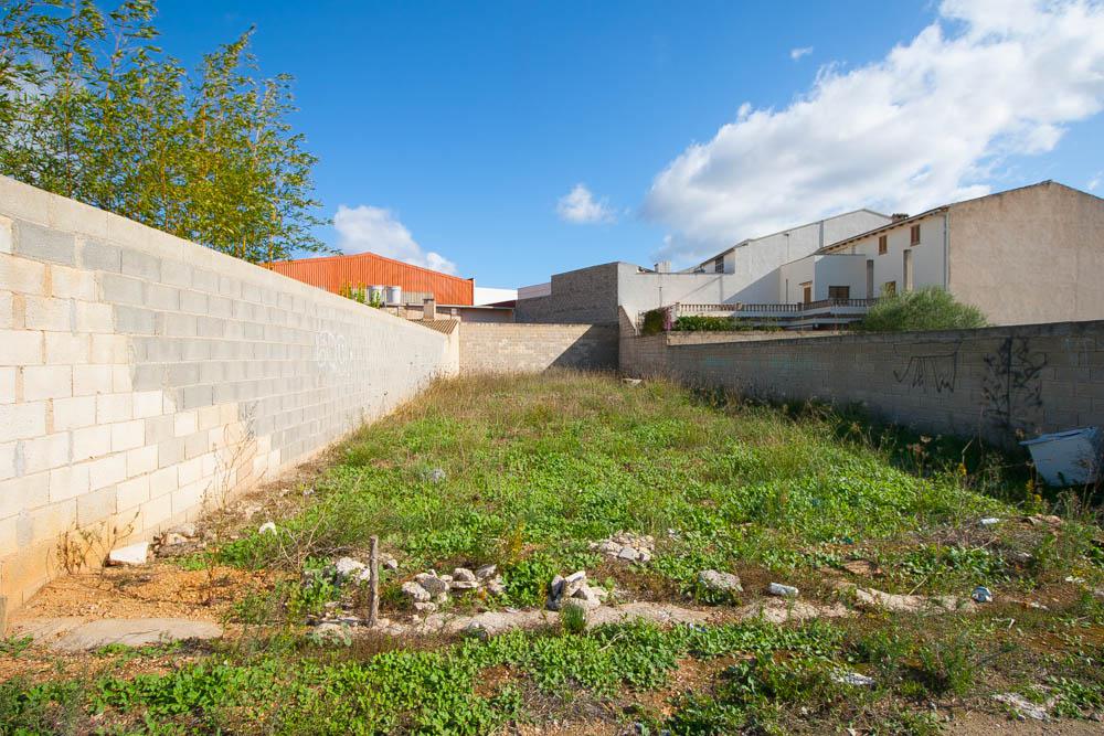 Land, For Sale