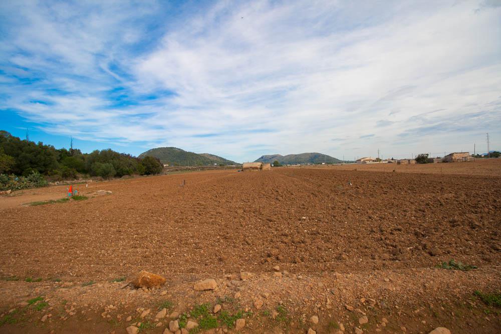 Land, For Sale