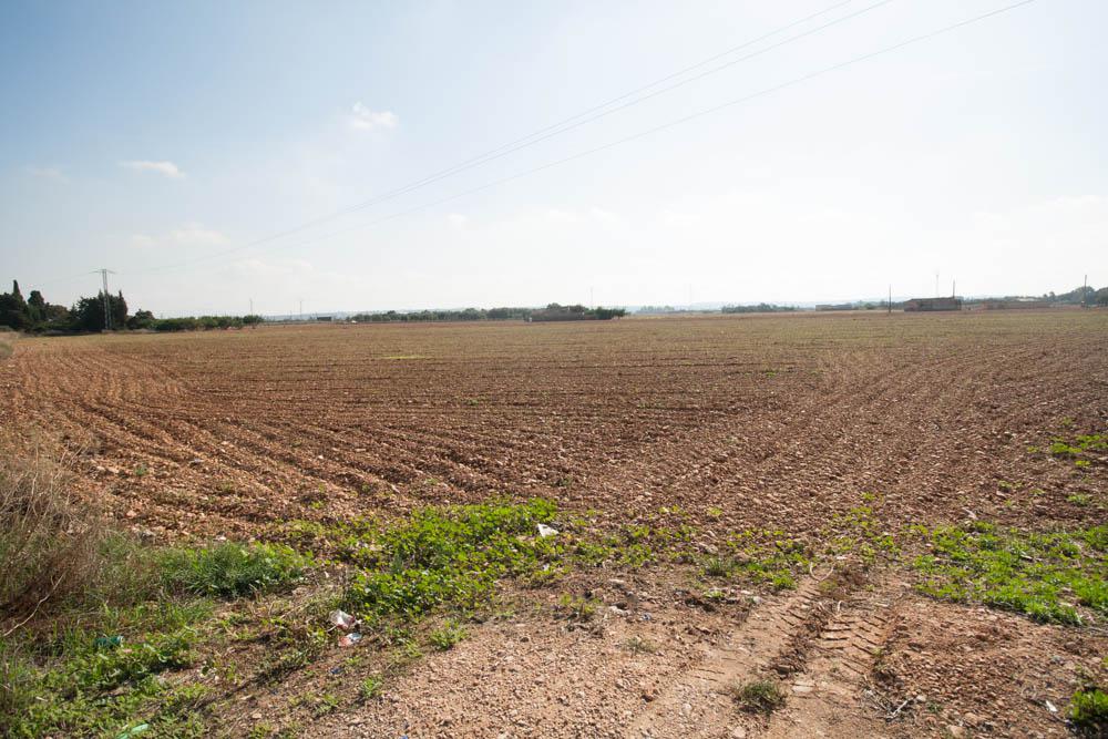 HouseFor Sale, Sa Pobla, Illes Balears, 07420