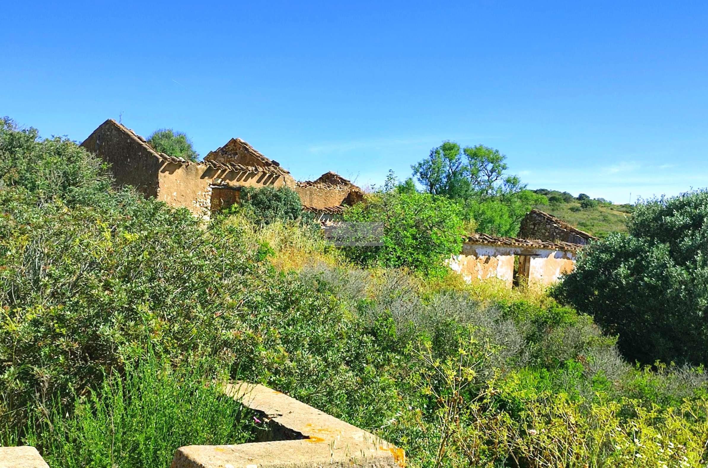 Land, For Sale