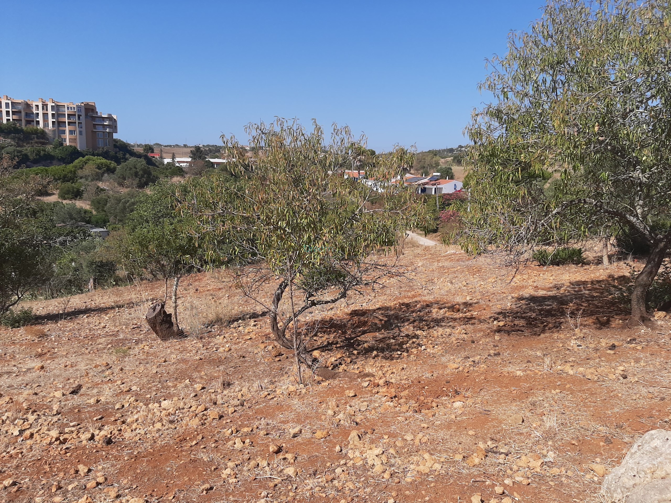 Land, For Sale