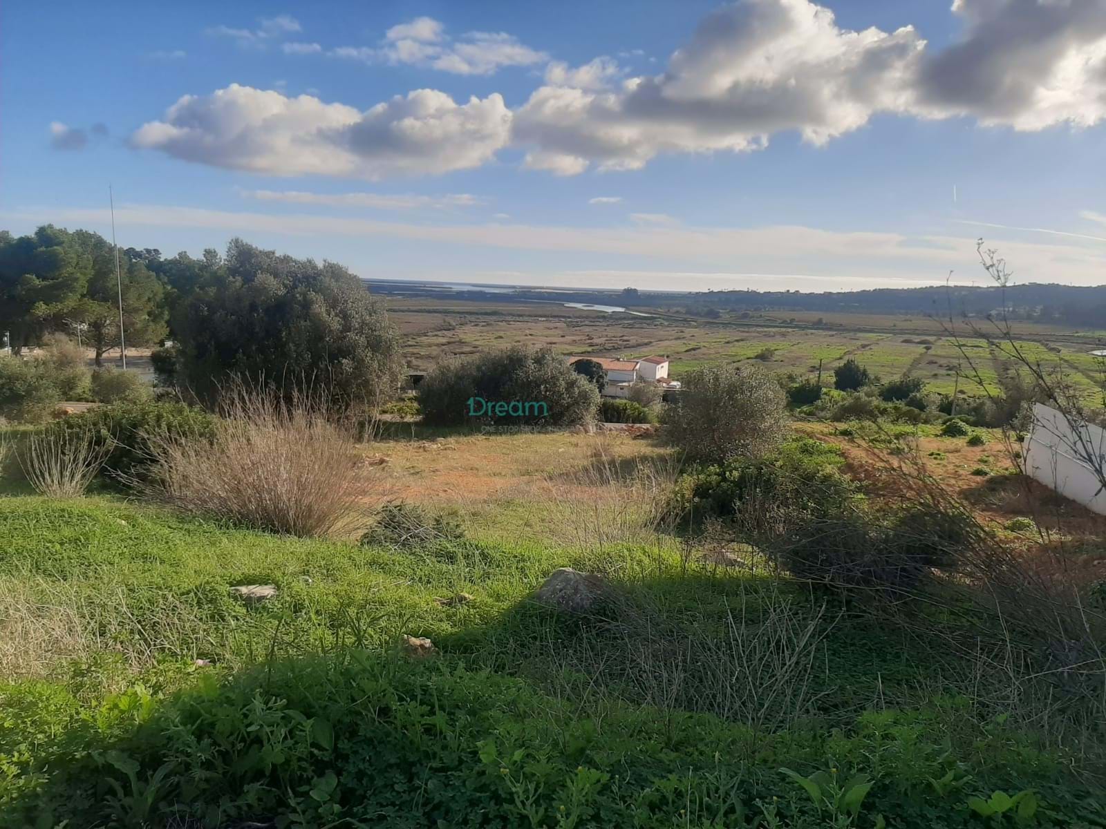 Land, For Sale