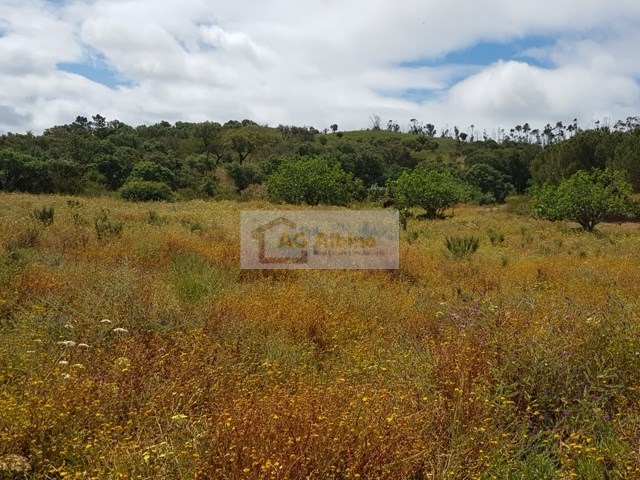 Land, For Sale