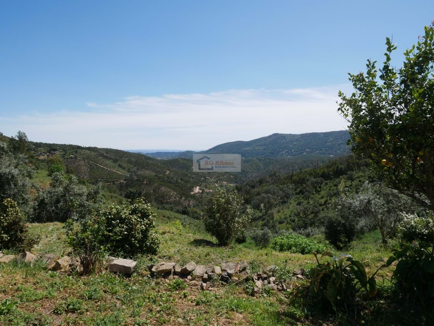 Commercial Property, For Sale