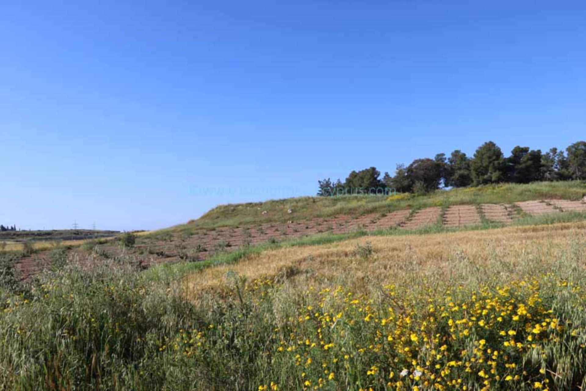 Land, For Sale