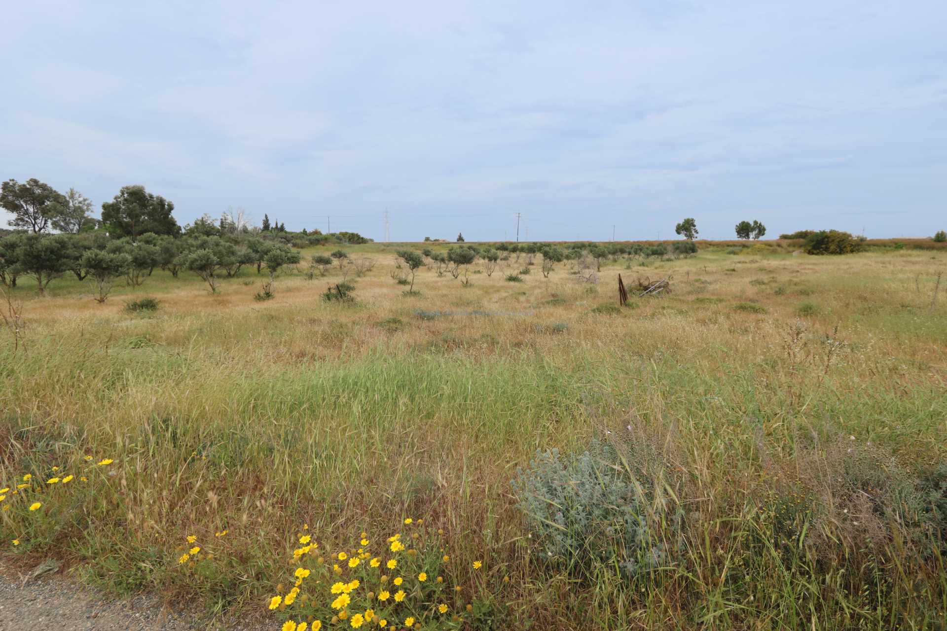Land, For Sale