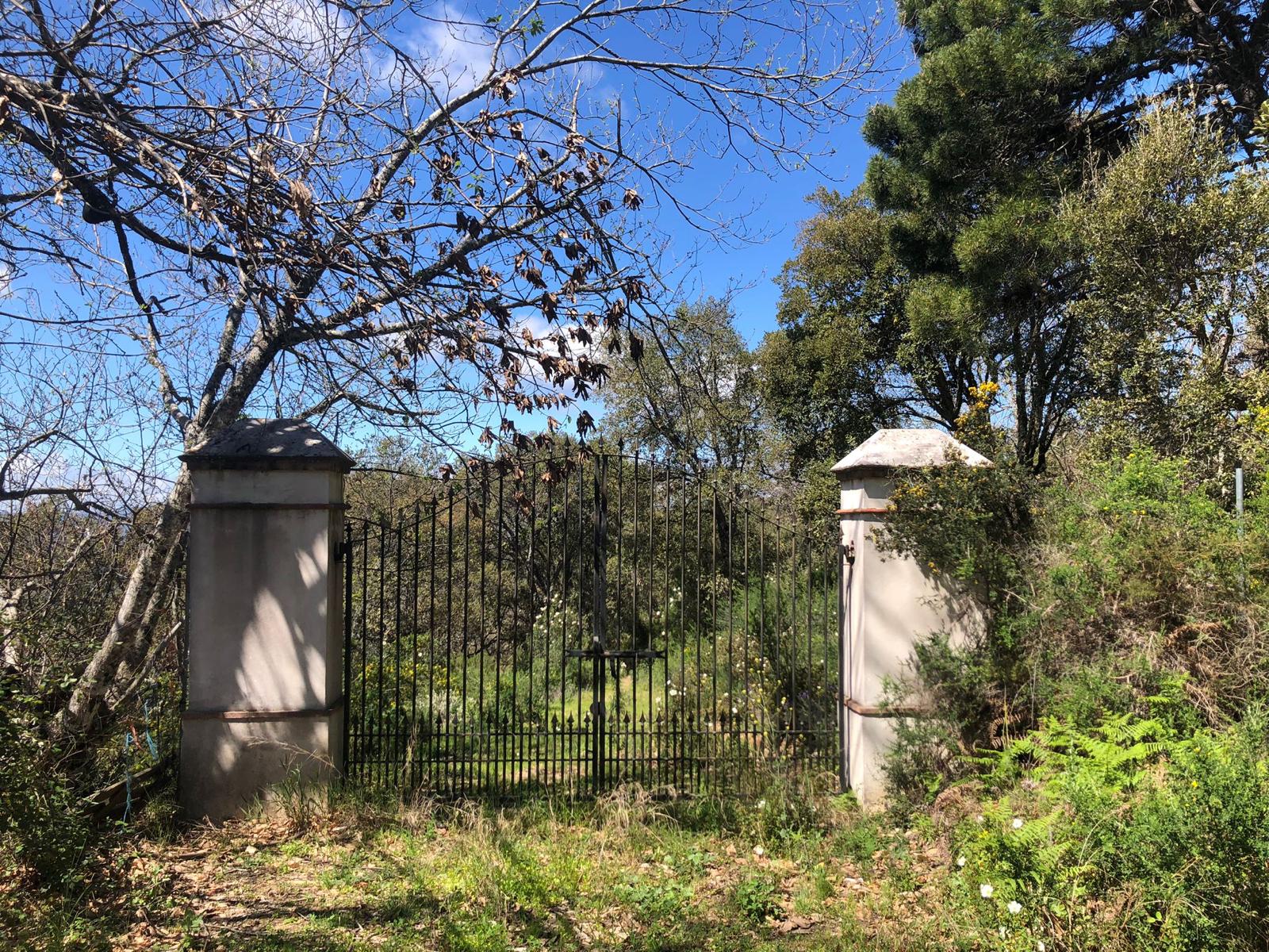 Land, For Sale
