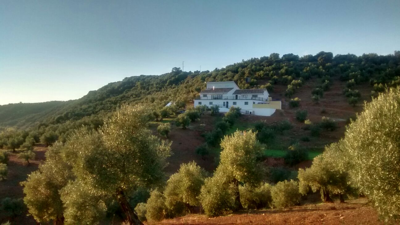 6 Bed, 3 Bath, HouseFor Sale, Montoro, Córdoba, 14600