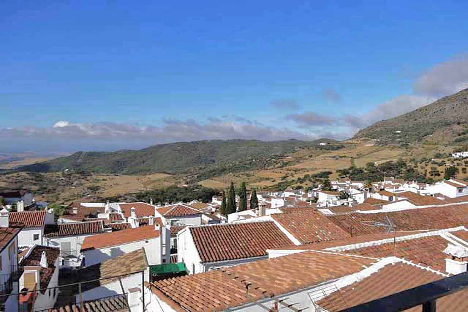 Land, For Sale