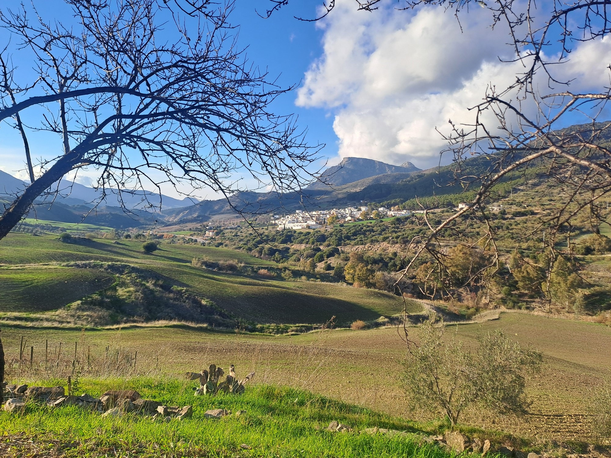 4 Bed, 2 Bath, HouseFor Sale, Montecorto, Malaga, 29430
