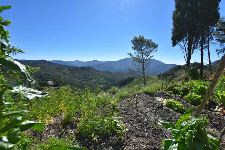 Land, For Sale