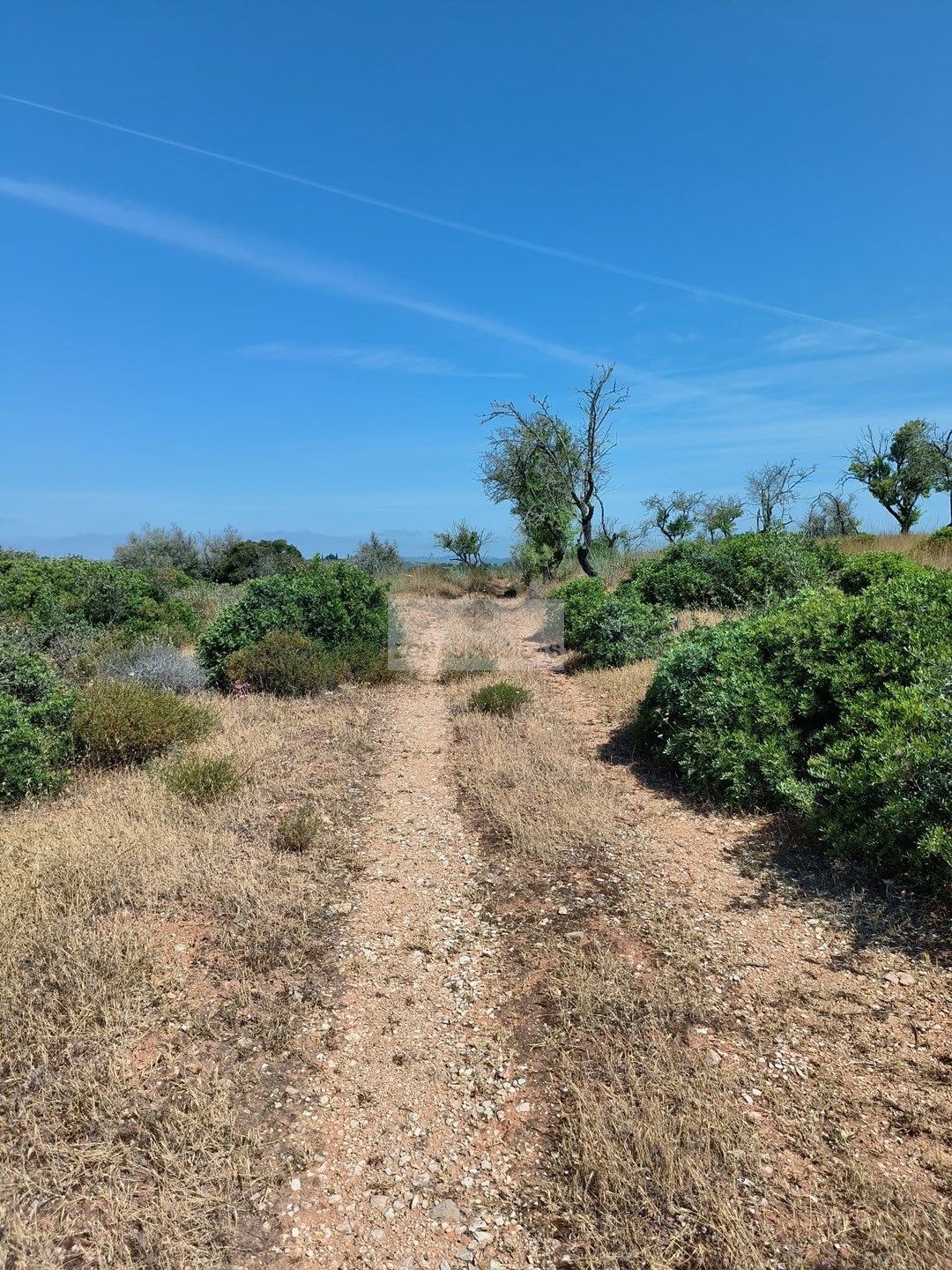 Land, For Sale