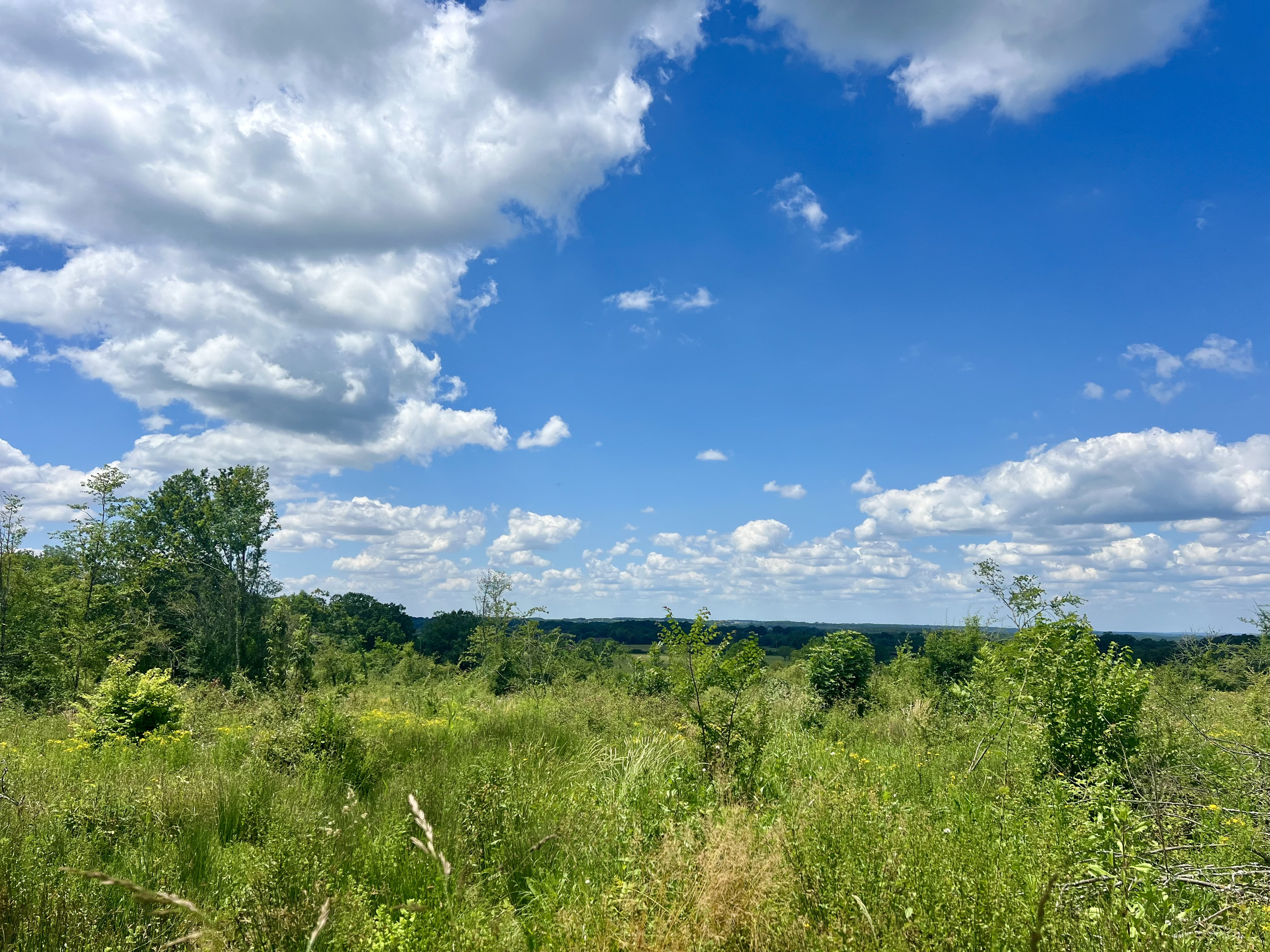 Land, For Sale