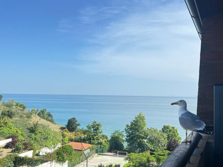 2 Bed, 2 Bath, ApartmentFor Sale, SvetI Vlas, Sveti Vlas, Burgas