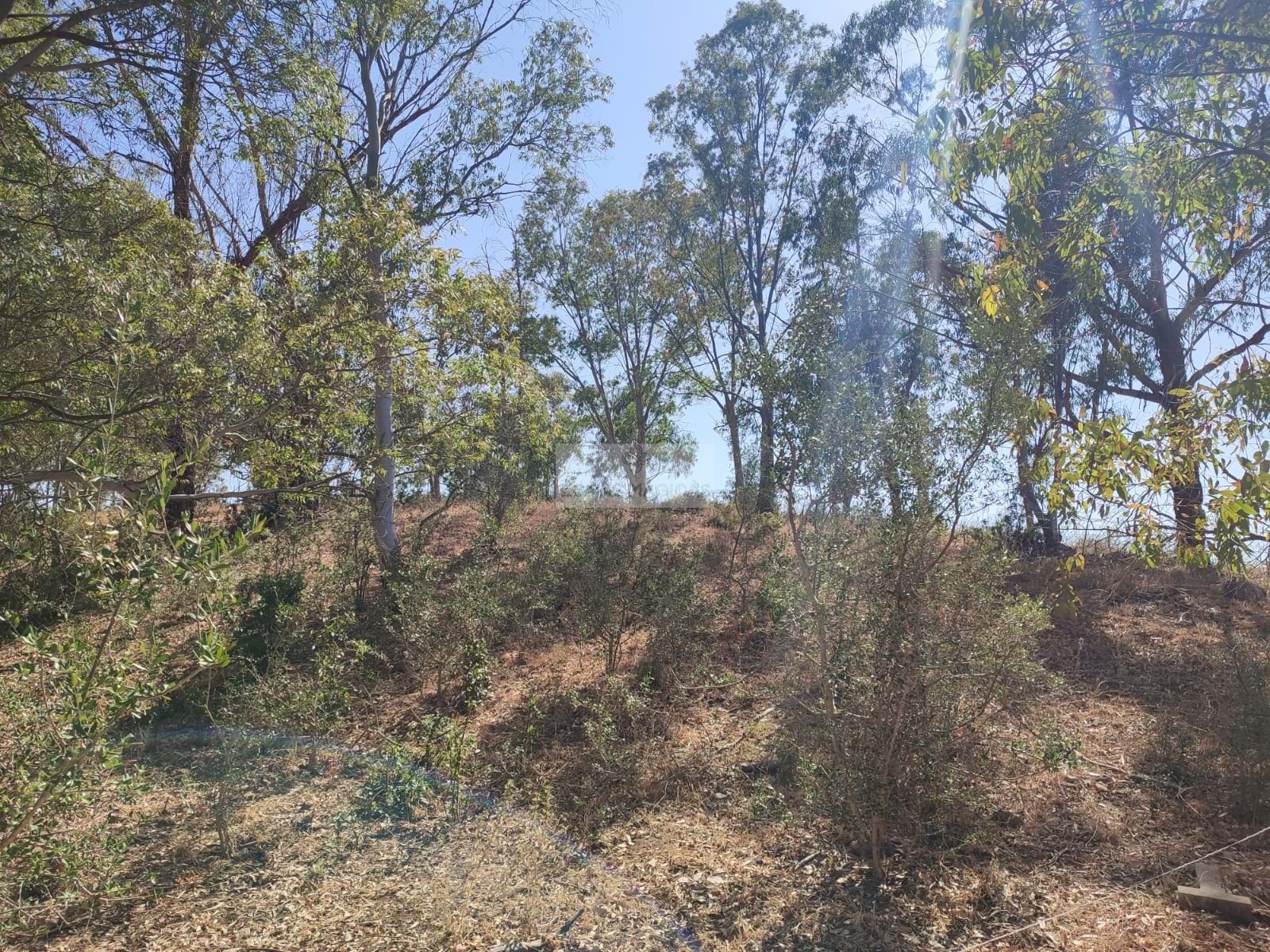 Land, For Sale