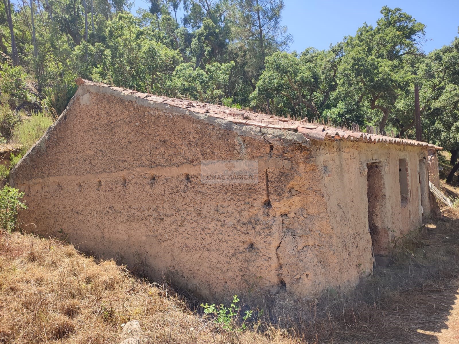 Land, For Sale