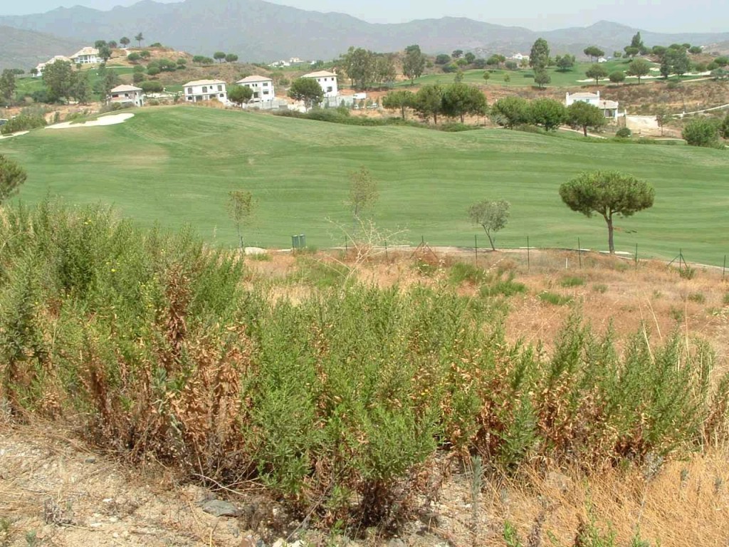 Land, For Sale