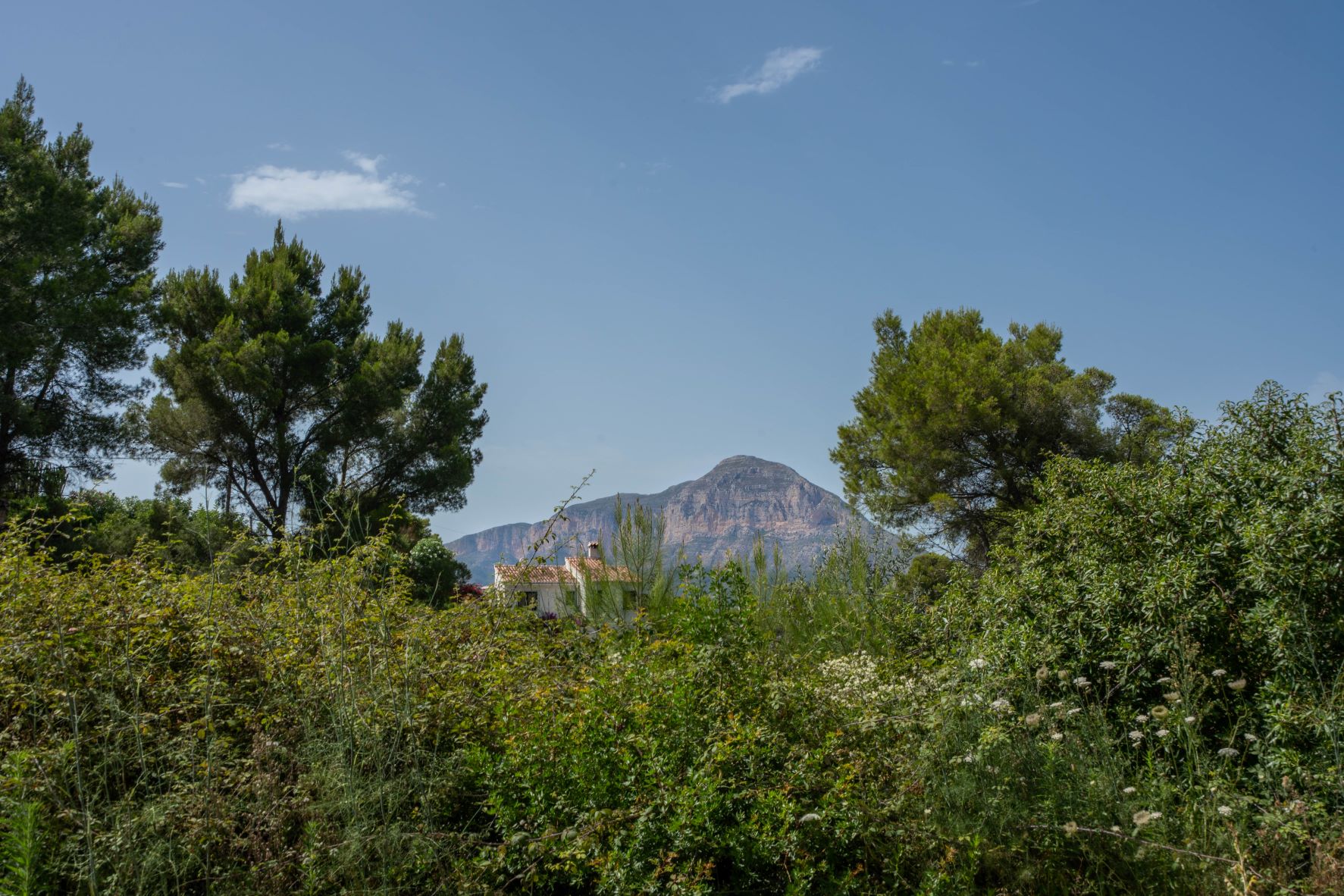 Land, For Sale