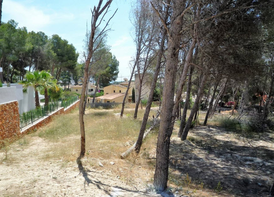 Land, For Sale