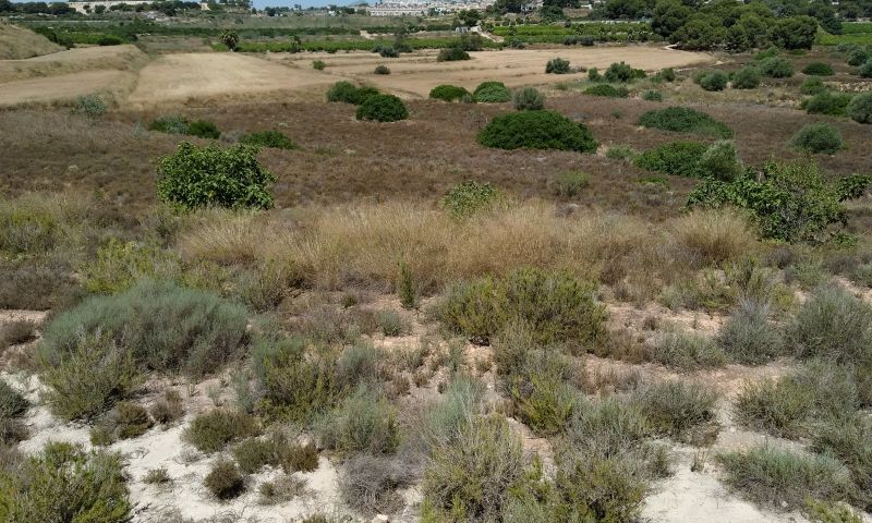 Land, For Sale