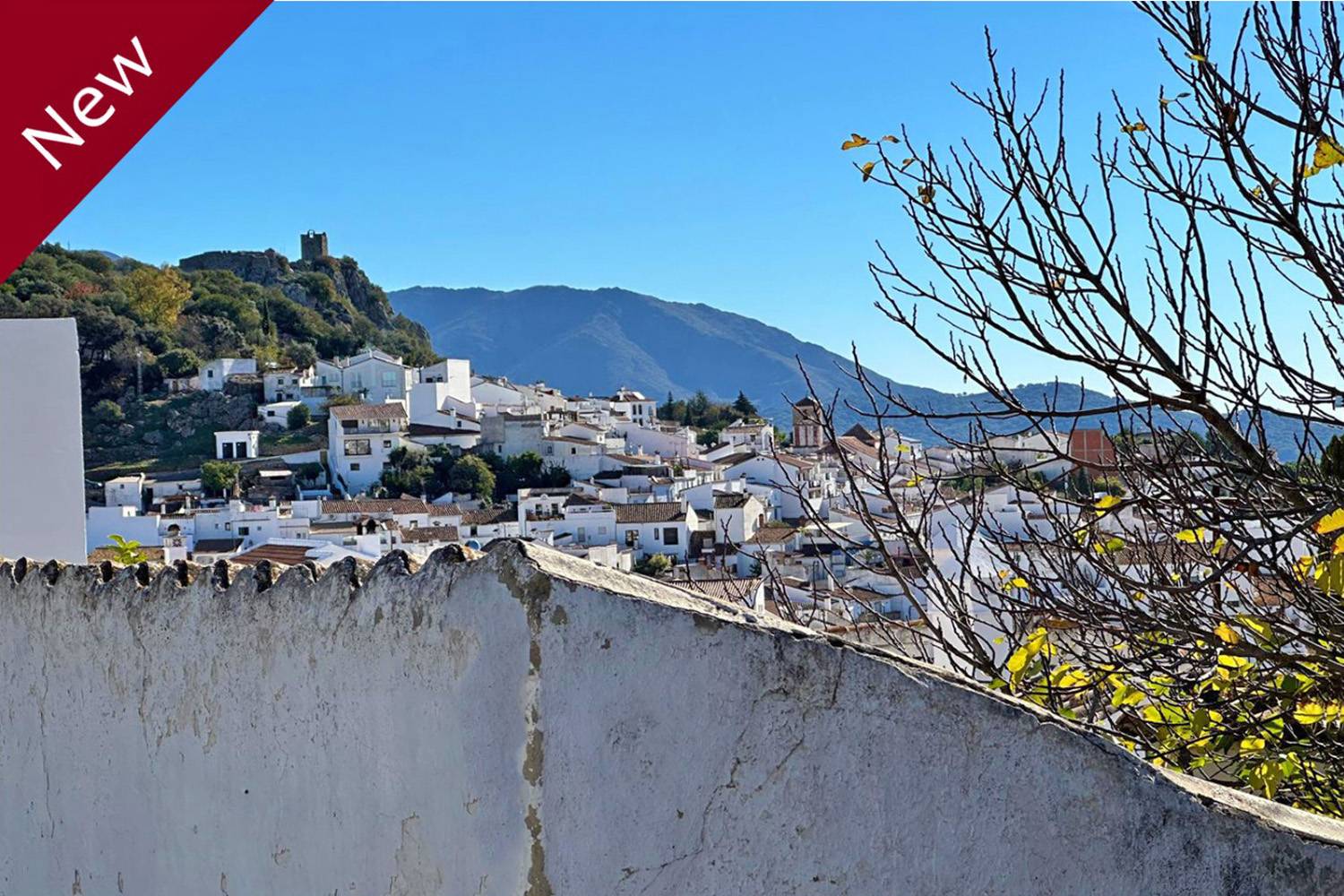 Land, For Sale