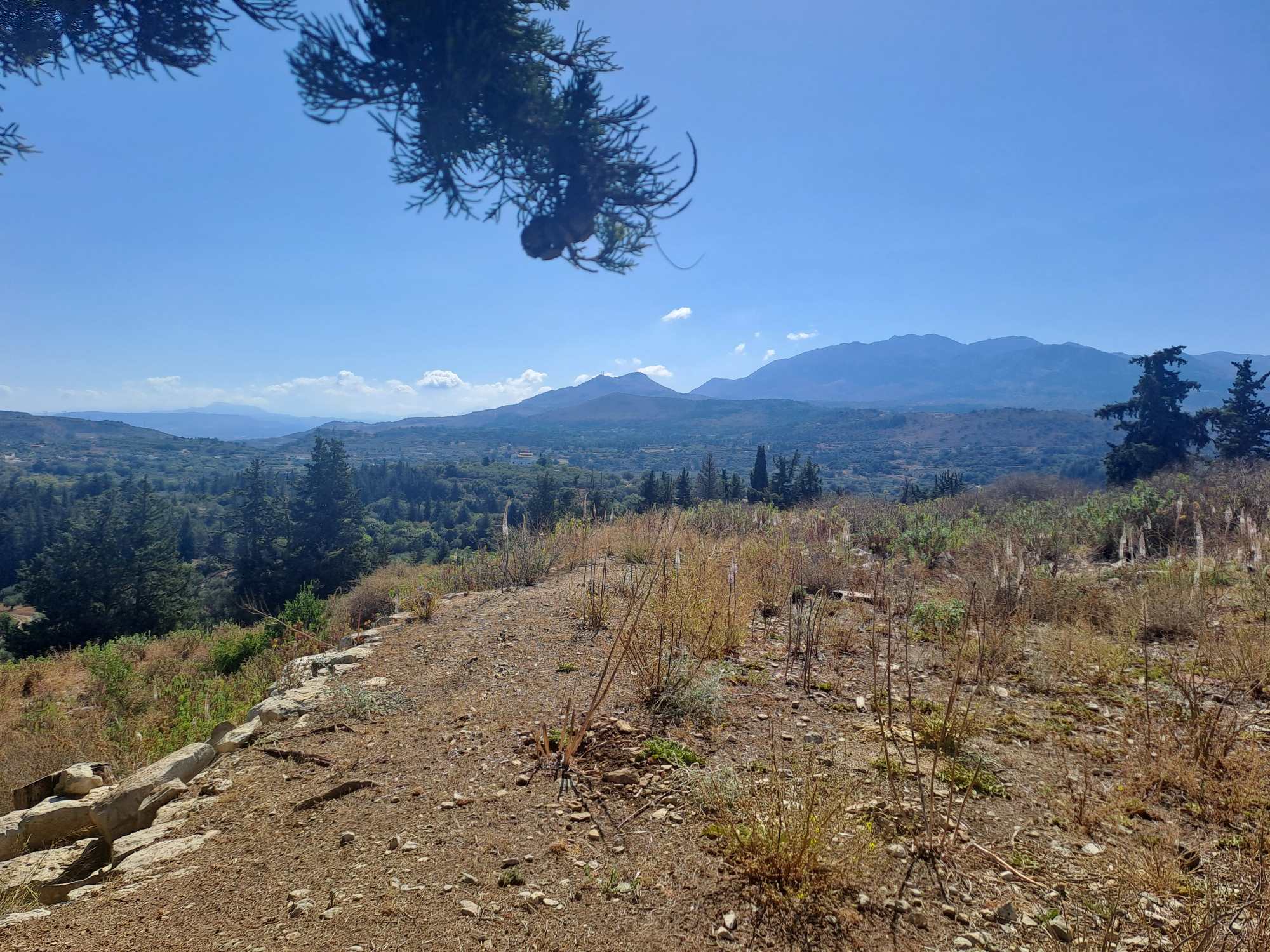 Land, For Sale