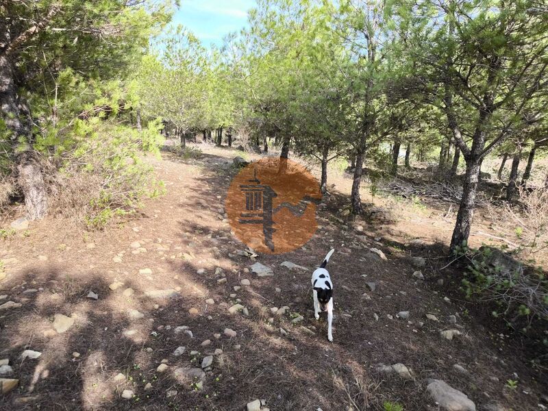 Land, For Sale