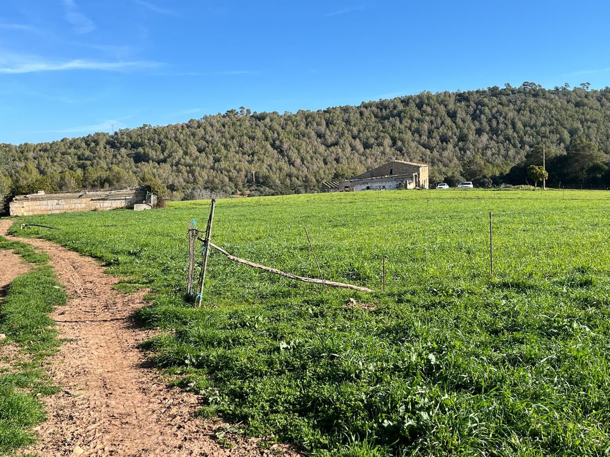 3 Bed, 1 Bath, HouseFor Sale, Arta, Islas Baleares
