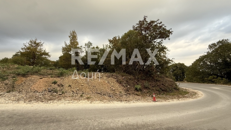 HouseFor Sale, Tsagkarada, Mouresi, Magnesia