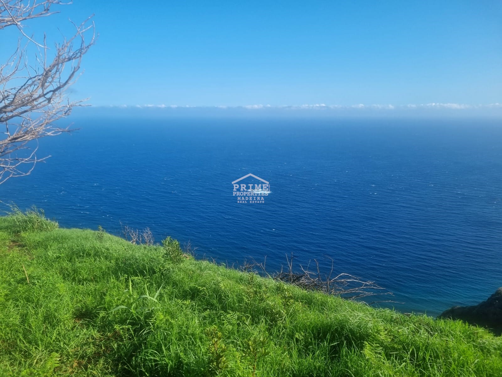 Land, For Sale