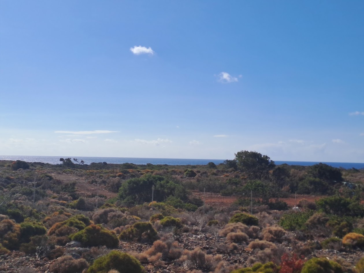 Land, For Sale