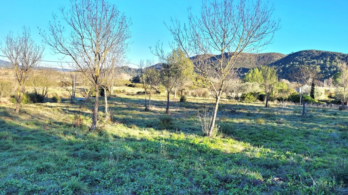Other Property, For Sale