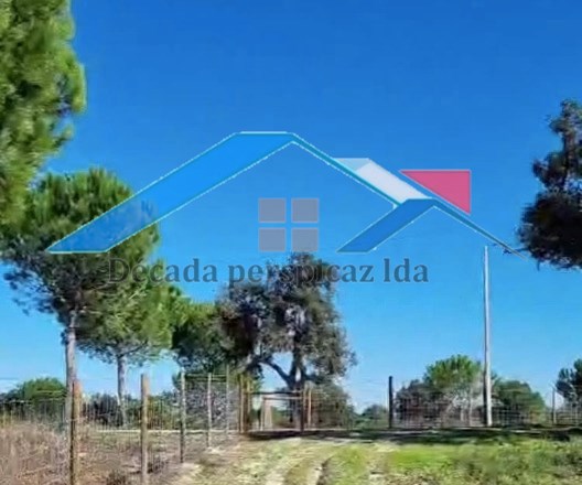 Land, For Sale
