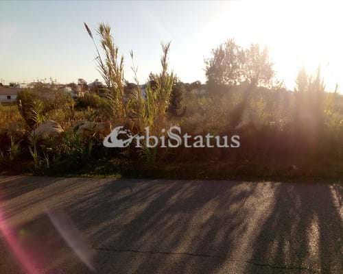 Land, For Sale
