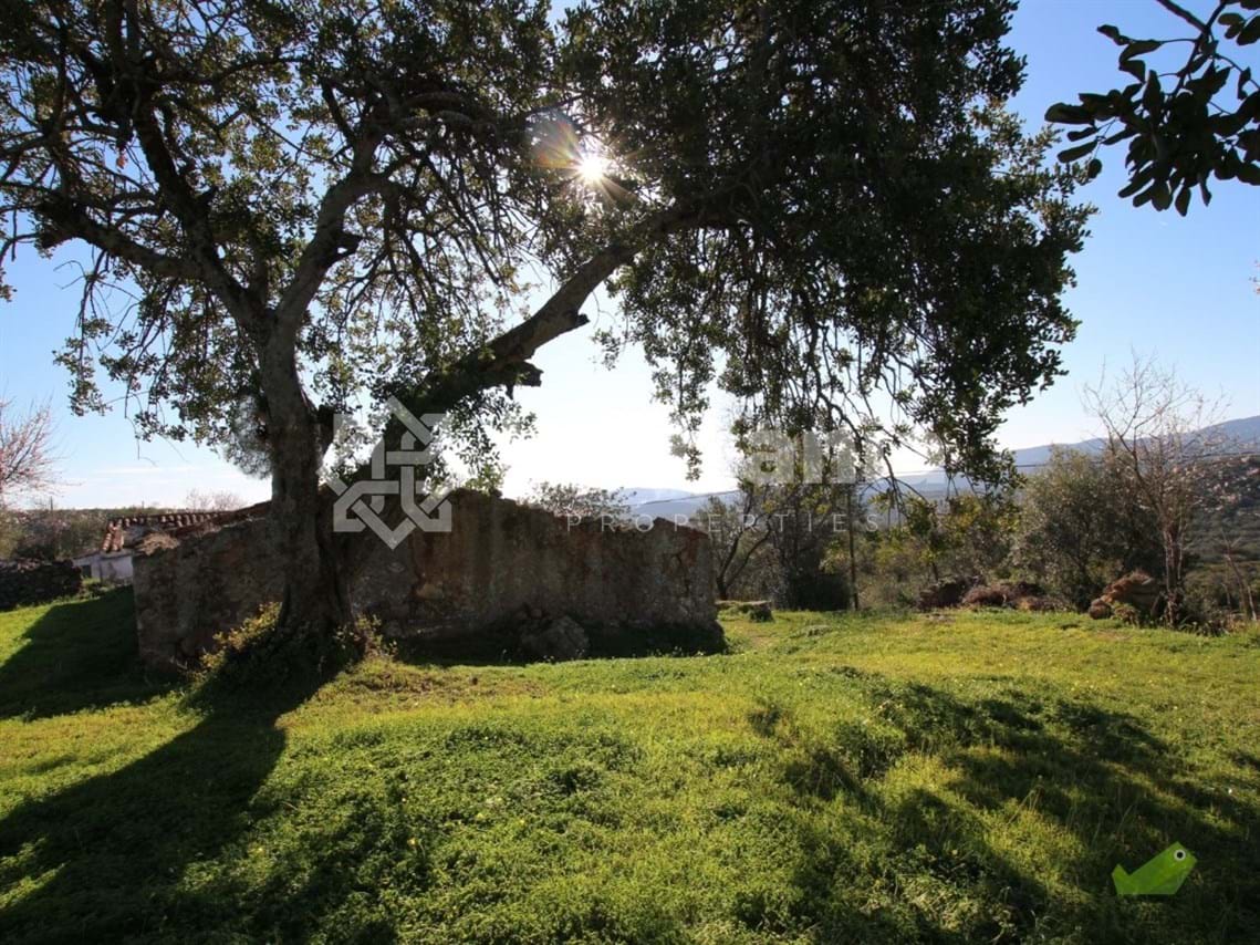 Land, For Sale