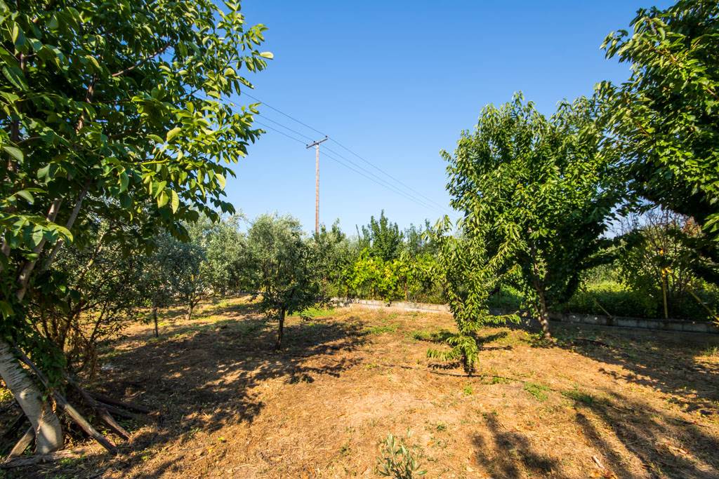 Land, For Sale